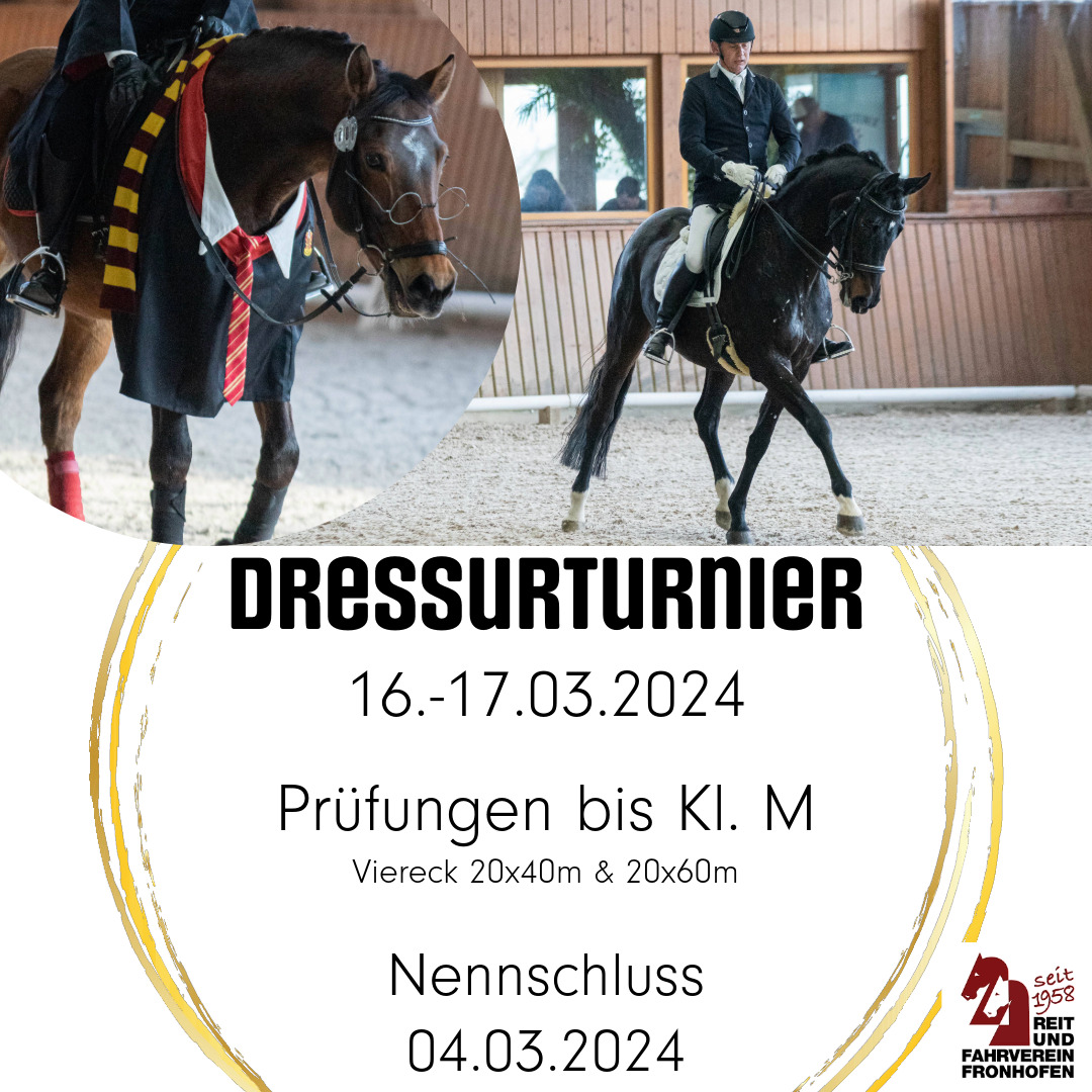 dressurturnier 2 Insta post